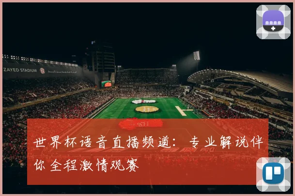 世界杯语音直播频道：专业解说伴你全程激情观赛