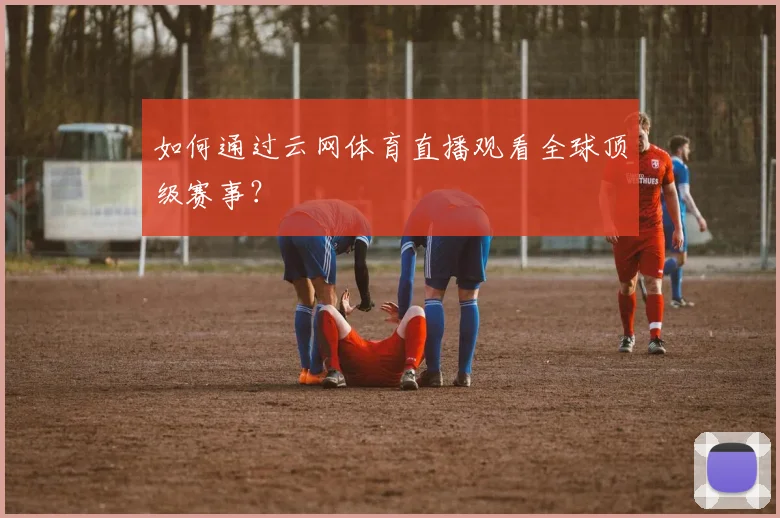 如何通过云网体育直播观看全球顶级赛事？